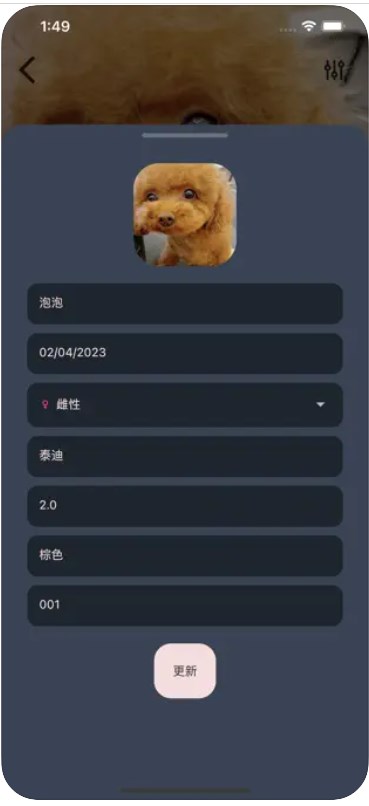 爱宠小派手机版  v1.1图1