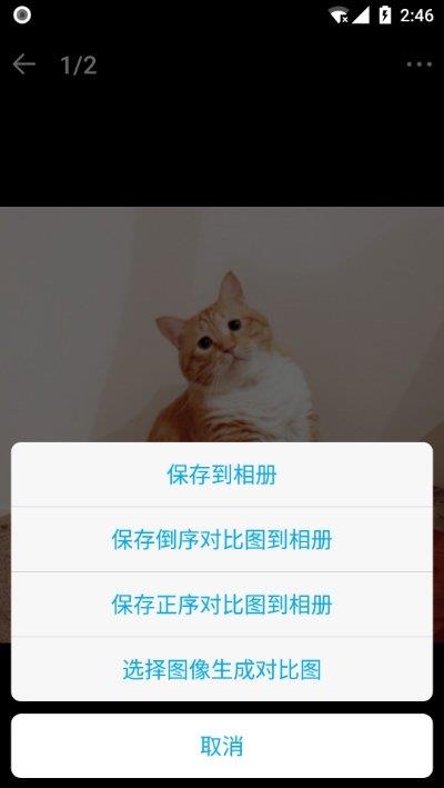 猫咪记账本  v1.0图1