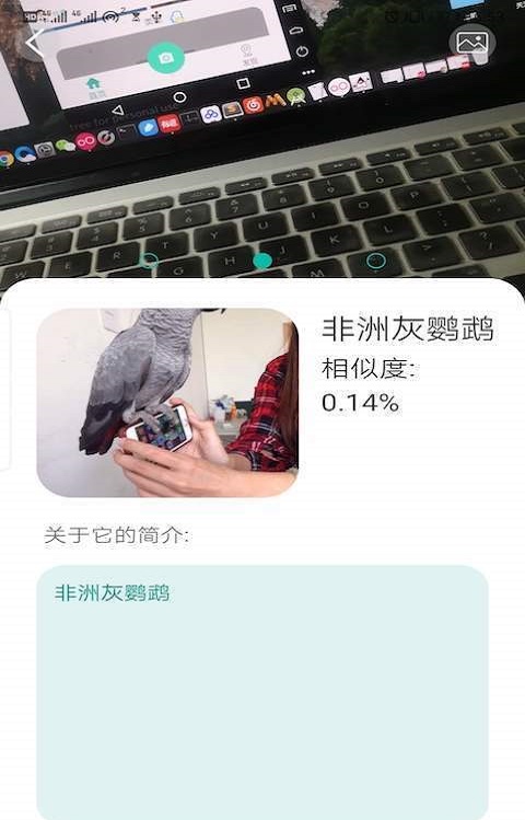 天天识别下载安装  v1.0图1