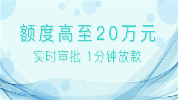 贷款大新2024  v1.2图1