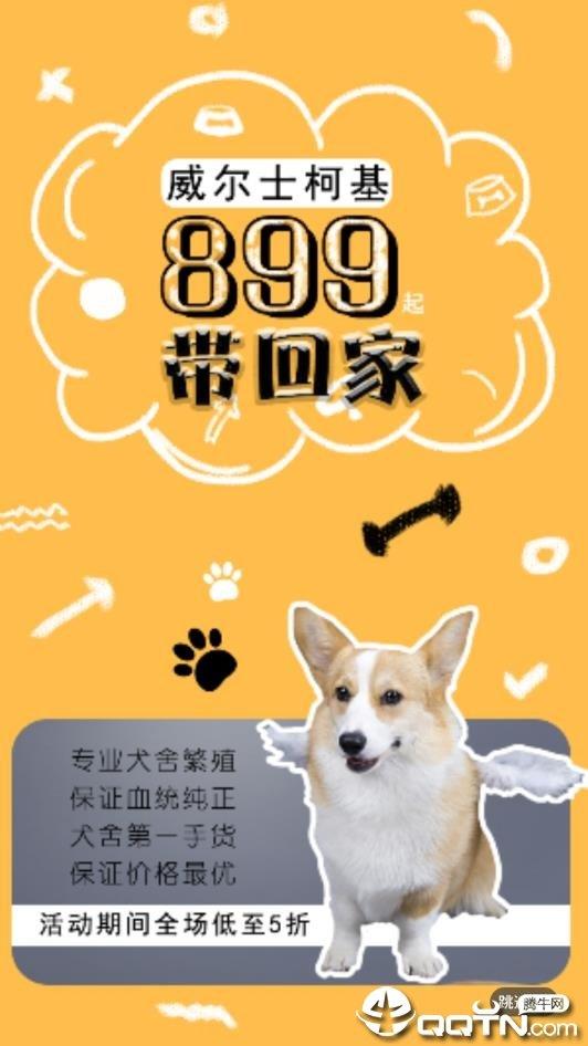 宠狐  v4.5.4图3