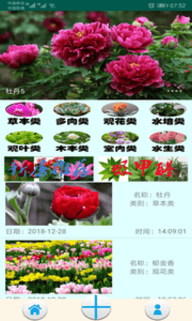 绿植花卉2023