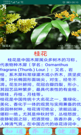 绿植花卉2023  v9.0.1图3