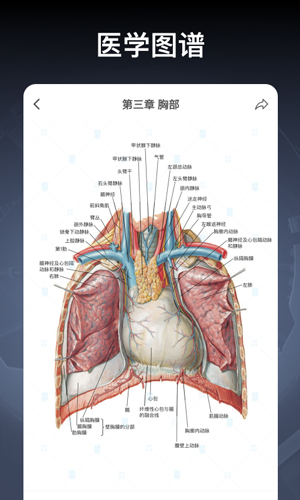 创序医考  v4.3.15图2