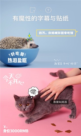 猫饼2024  v2.0.0图1