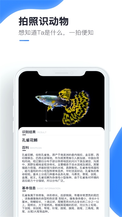 百科扫描王免费破解版  v1.0.0图1