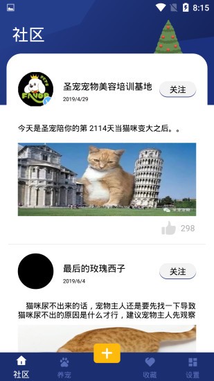 宝贝宠物免费版在线观看视频  v1.0.2图2