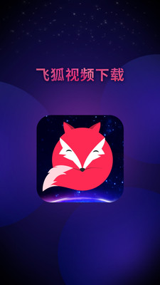 飞狐视频下载器手机版安装  v3.5.0图3