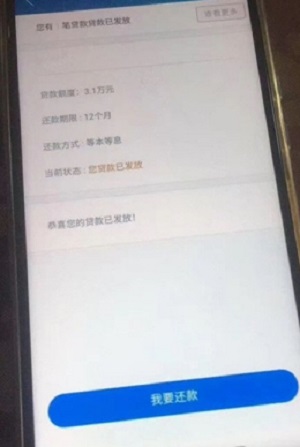 金蝶效贷手机版下载