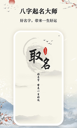 八字宝宝取名大师  v1.0.5图3