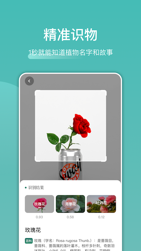 识花识物  v1.1图3