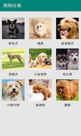 汪汪狗语翻译  v13.0图1