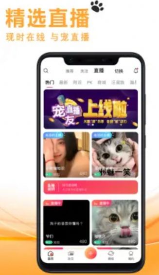 宠友社交平台官网下载安卓版安装  v1.0.7图1