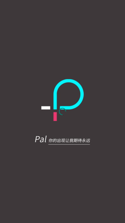 palette官方版