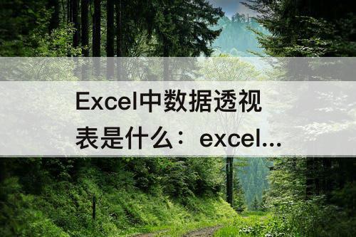Excel中数据透视表是什么：excel中数据透视表是什么选项卡里的选项