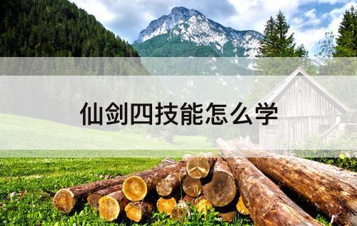 仙剑四技能怎么学