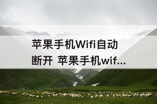 苹果手机Wifi自动断开 苹果手机wifi自动断开后无法连接