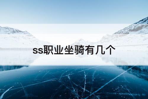 ss职业坐骑有几个