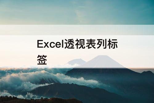 Excel透视表列标签