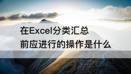 在Excel分类汇总前应进行的操作是什么