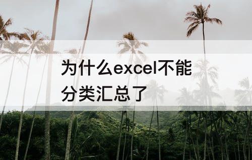 为什么excel不能分类汇总了