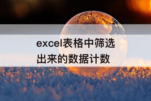 excel表格中筛选出来的数据计数