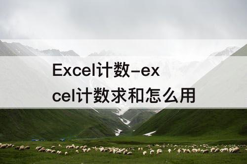 Excel计数-excel计数求和怎么用