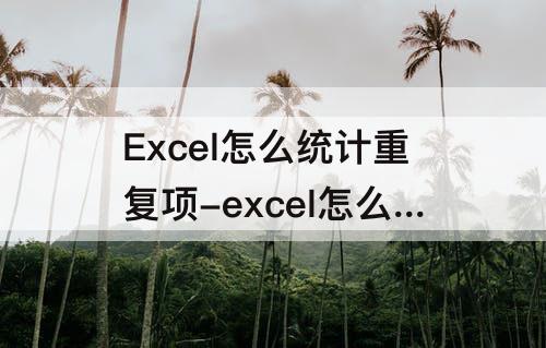 Excel怎么统计重复项-excel怎么统计重复项求和
