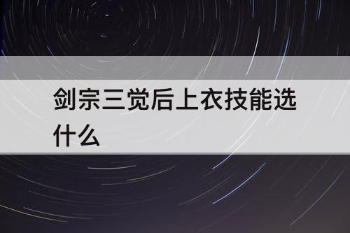 剑宗三觉后上衣技能选什么