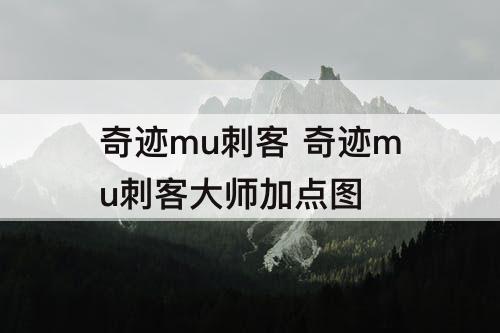 奇迹mu刺客 奇迹mu刺客大师加点图
