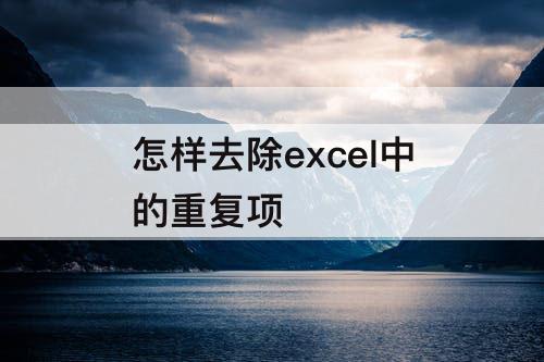 怎样去除excel中的重复项