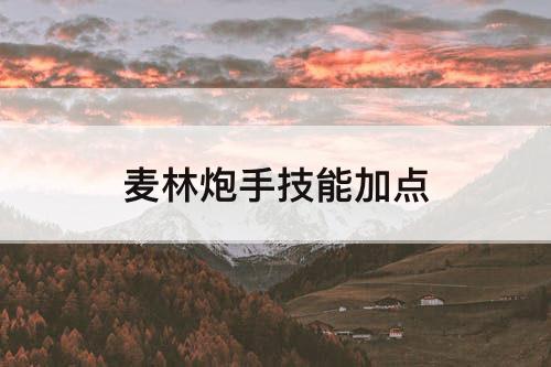 麦林炮手技能加点