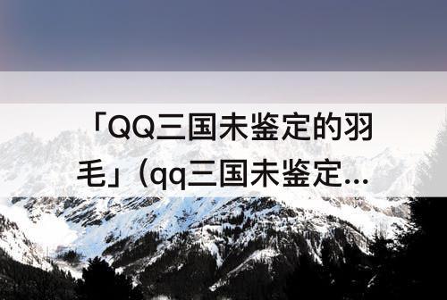 「QQ三国未鉴定的羽毛」(qq三国未鉴定的羽毛能鉴定出几级羽毛)