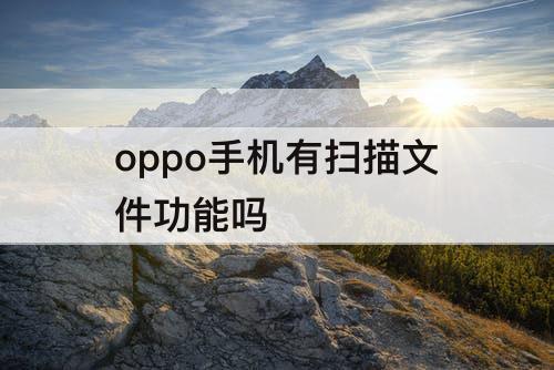 oppo手机有扫描文件功能吗
