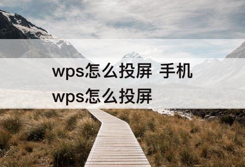 wps怎么投屏 手机wps怎么投屏