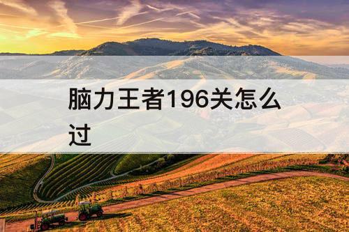 脑力王者196关怎么过