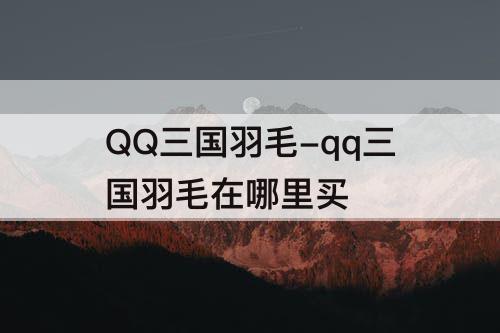 QQ三国羽毛-qq三国羽毛在哪里买