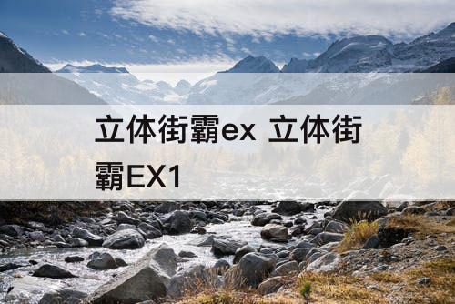 立体街霸ex 立体街霸EX1