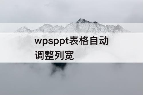 wpsppt表格自动调整列宽