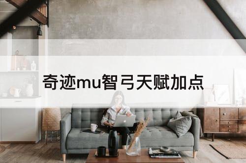 奇迹mu智弓天赋加点