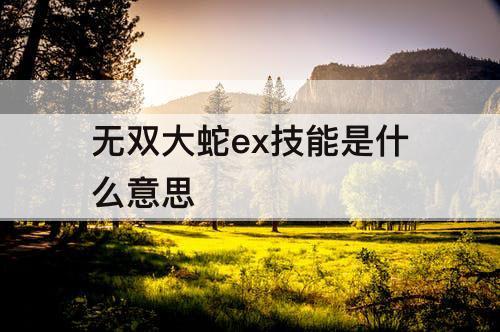 无双大蛇ex技能是什么意思