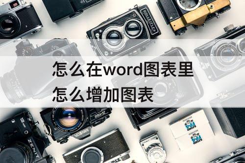 怎么在word图表里怎么增加图表