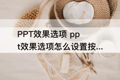 PPT效果选项 ppt效果选项怎么设置按段落