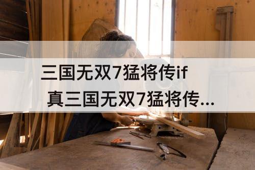 三国无双7猛将传if 真三国无双7猛将传if自由模式