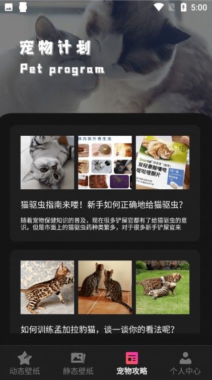 猫咪壁纸  v1.2图1