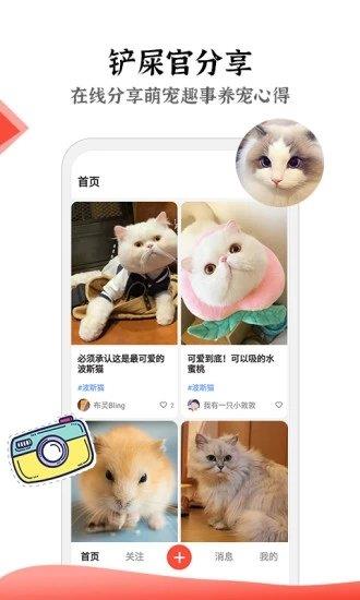 猫猫社  v1.7.40图1