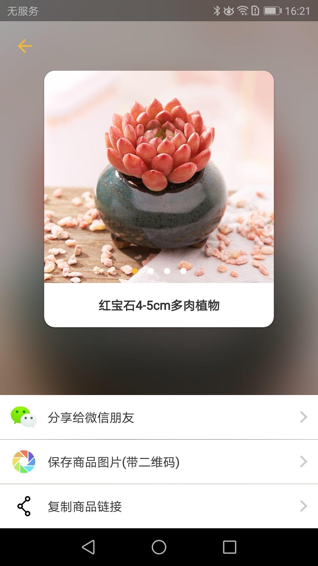 盆栽玩家  v1.0.0图3