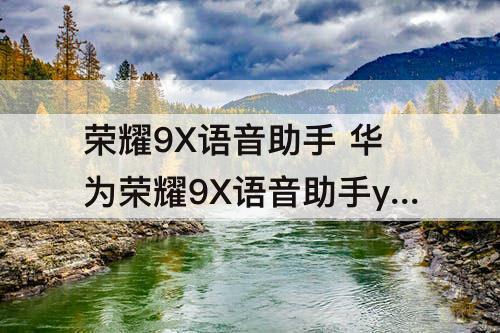 荣耀9X语音助手 华为荣耀9X语音助手yoyo怎么语音唤醒