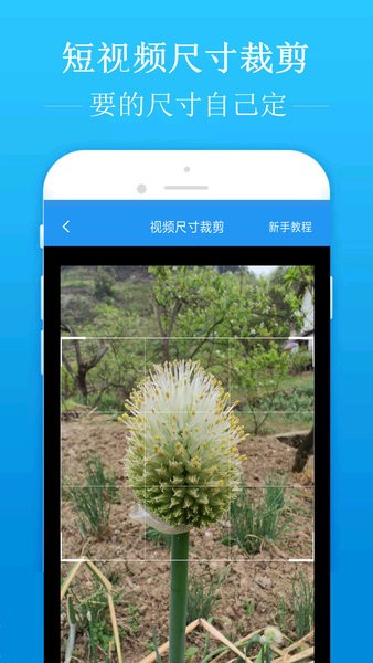 去水印吧  v2.1.3图3