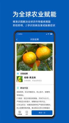 识农  v1.0.0图1